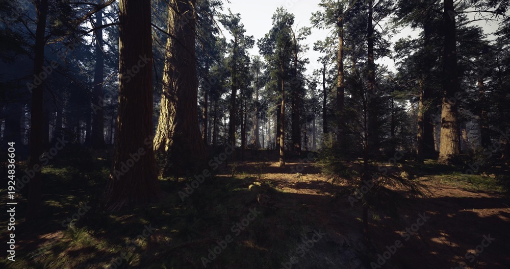 Fototapeta premium sunlit pine forest with long shadows and misty undergrowth, golden rays filtering through tall trunks, mossy floor dotted with ferns, cool atmosphere conveying