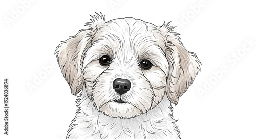 Adorable fluffy white puppy dog portrait, cute maltipoo or poodle mix, looking at camera