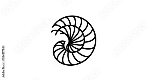 Abstract Nautilus Shell Spiral Logo Icon, Geometric Fibonacci Sequence, Natural Design Element