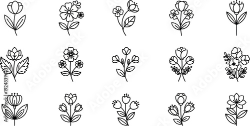 Collection of fifteen simple black line floral on white background flower bloom petal stem
