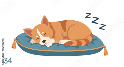 Corgi dog sleeping peacefully on a blue cushion with orange trim and tassels soft lighting cartoon style white background cozy atmosphere