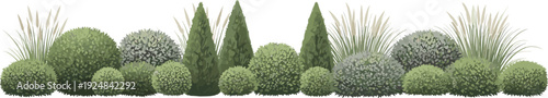 Garden landscaping illustration, trimmed bushes, ornamental grasses, topiary plants, decorative greenery design, outdoor nature vector artwork, plant arrangement - flavector