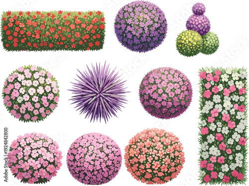 Flower bush illustration set, colorful topiary designs, garden landscaping plants, decorative floral arrangements, seasonal nature vector artwork - flavector