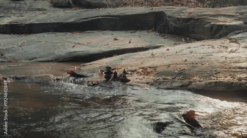 Stacked stones by flowing stream – tranquil waterfall creek cinematic nature footage