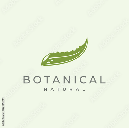 Aloe Vera Green Logo icon For Natural Organic Product Label