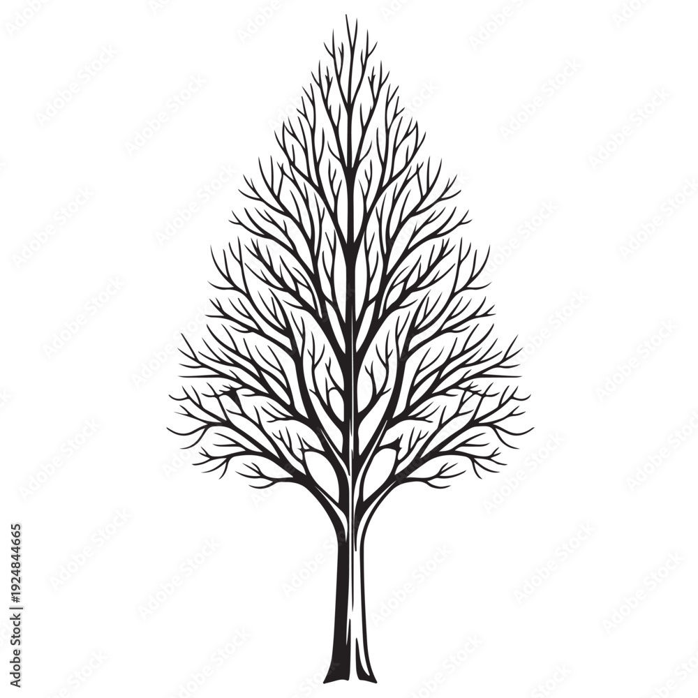 Obraz premium Bare Tree Silhouette Vector – Leafless Winter Woodland Outline Illustration