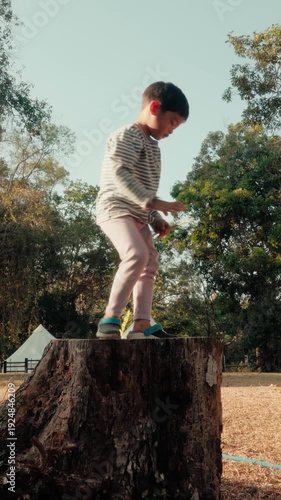 Young Child Exploring Tree Stump in Nature Park at Sunset