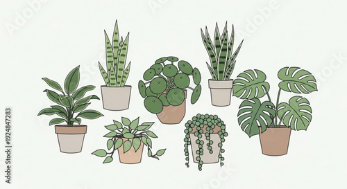 Collection of diverse potted houseplants on white background showcasing various green leafy plants in different pots for indoor gardening and decoration