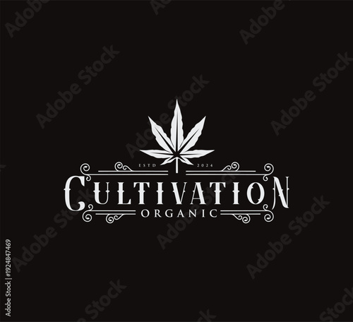Medical Cannabis Weed Marijuana Hemp Cbd Oil Logo Design Vintage Retro