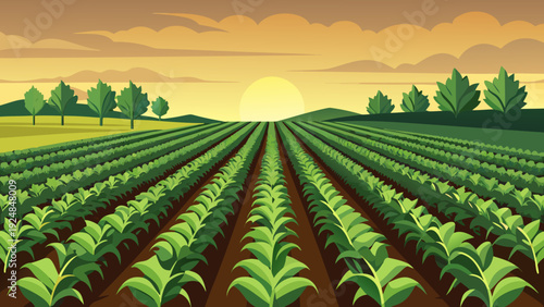 Vast green fields of crops under a warm sunset sky with rolling hills and scattered trees, agricultural landscape