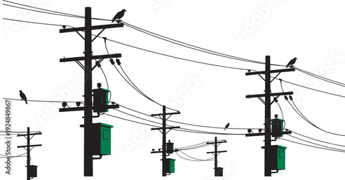 Birds on electric power line poles silhouette, urban utility infrastructure vector illustration isolated on white background