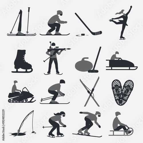 Winter Sports Icons vector illustration
