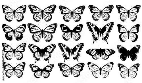 Large Butterfly Species Vector Set with Monarch and Swallowtail Styles Isolated on White