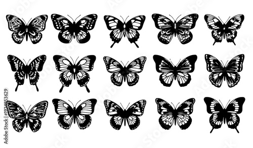 Decorative Butterfly Collection with Stylized Wings Isolated on White Background Vector Set