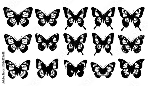 Set of Different Butterflies with Detailed Wing Patterns Isolated on White Vector Illustration