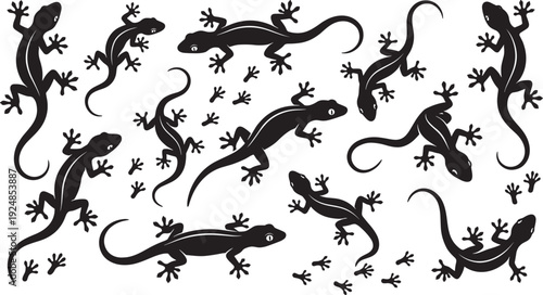 Gecko lizard silhouette pattern set, crawling reptile shapes and footprints isolated on white background