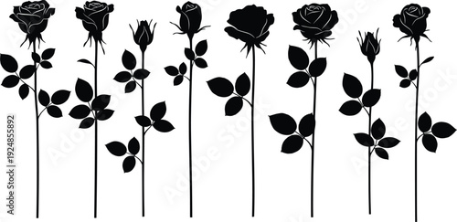 Rose flower silhouette illustration set featuring blooming roses and buds with stems and leaves, elegant black vector floral design for decoration and nature themes