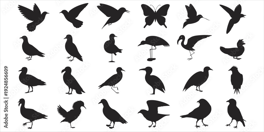 Fototapeta premium Assortment of Black Bird and Butterfly Silhouettes on White Background Keywords: bird, butterfly, silhouette, animal, wildlife