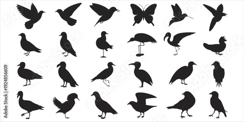 Assortment of Black Bird and Butterfly Silhouettes on White Background Keywords: bird, butterfly, silhouette, animal, wildlife