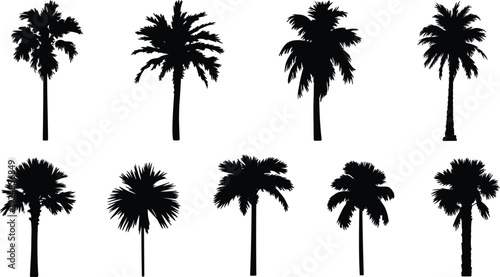 Assortment of black palm tree silhouettes on a white background tropical nature