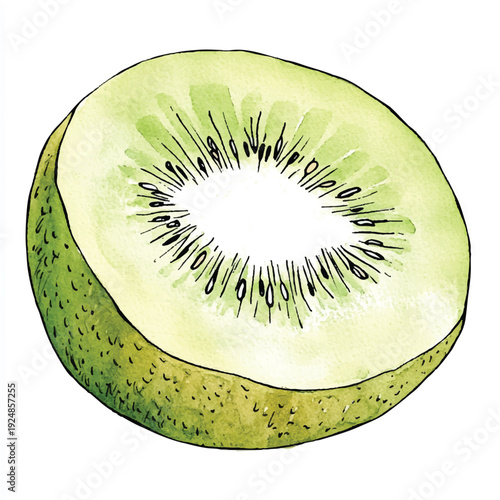Watercolor Kiwi Slice with Black Seed Details and Textured Skin