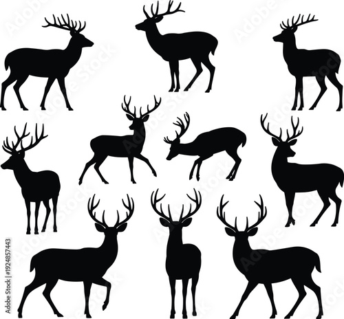 Black Silhouettes Of Deer With Antlers In Various Poses On White Background stag buck