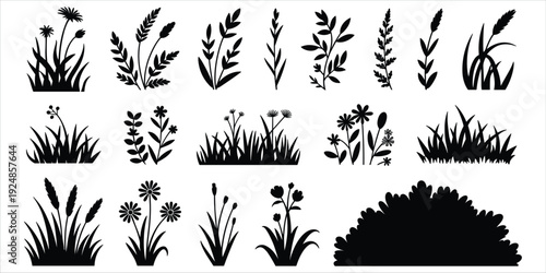 Black silhouettes of various plants and grasses on a white background flower leaf