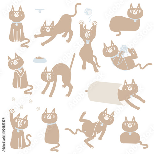 collection set of minimal animal pet cat set in various poses, flat vector illustration cartoon character design isolated