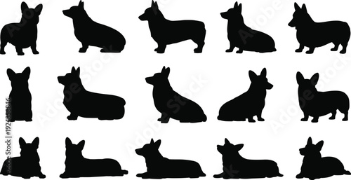 Collection of corgi dog silhouette poses isolated on white background, vector illustration set featuring standing, sitting, and lying Pembroke Welsh Corgi profiles