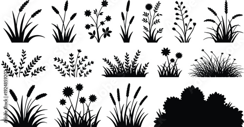 Collection of Black Silhouettes of Grasses, Flowers, and Bushes on White Background plant