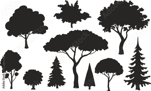 Collection of diverse tree silhouettes in black on a white background Keywords: tree, silhouette, nature, plant, deciduous