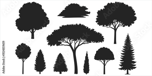 Collection of diverse tree silhouettes in various shapes and sizes on white background Keywords: tree, silhouette, nature, plant