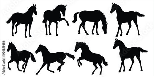 Collection of eight black horse silhouettes in various poses on white background animal equine
