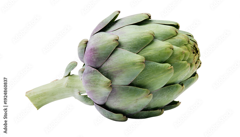 Fototapeta premium Fresh Green Globe Artichoke on White – High-Resolution 8K Studio Photography