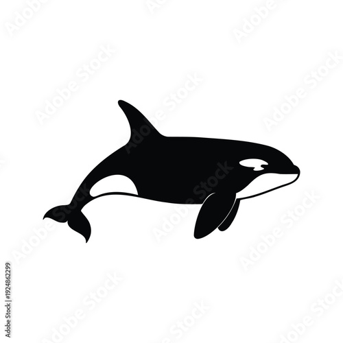 Silhouette of a majestic orca whale swimming in the ocean, elegant vector illustration, orca silhouette vector illustration