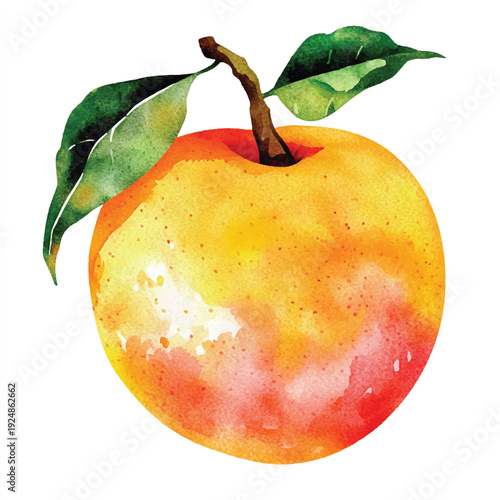 Watercolor Peach with Vibrant Hues and Lush Green Leaves