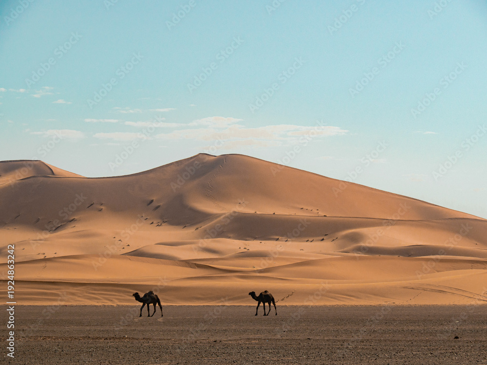 Fototapeta premium Morocco