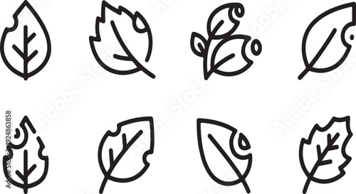 A collection of various leaf illustrations showcasing different shapes and styles Vector