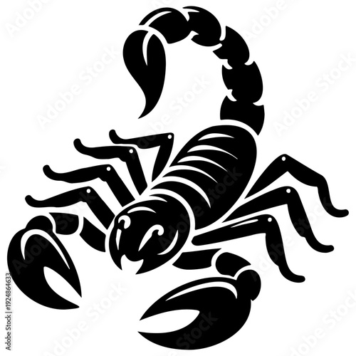 Sorpion Sketch Drawing.