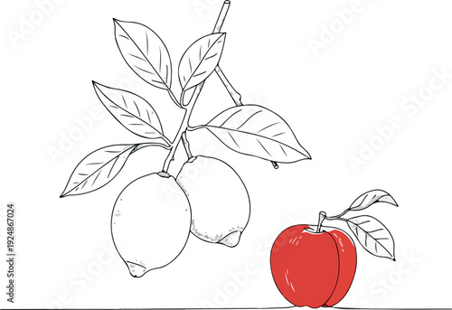 Minimalist Vector Illustration of Lemons and Apple Isolated Object