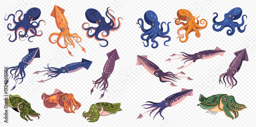 Collection of various marine cephalopods including octopuses, squids, and cuttlefish in different colors and poses, isolated on a transparent background.