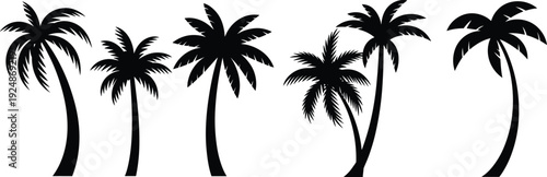 Palm tree silhouette collection isolated on white background, vector illustration set of tropical coconut palms for summer beach, island, and vacation design