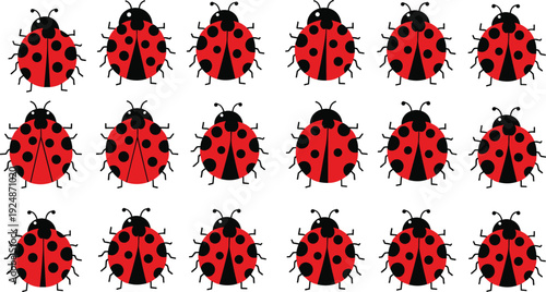 Red and black ladybug collection illustration featuring cute cartoon beetles with polka dots isolated vector set design