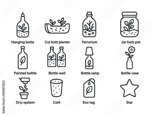 Creative indoor planting solutions with bottles and terrariums