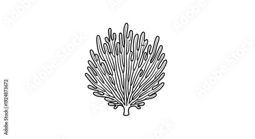 Hand-drawn illustration of a stylized coral branch, isolated on white background