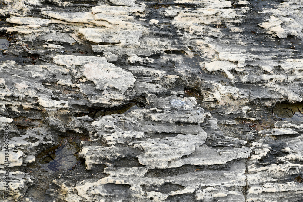 Obraz premium Extreme close-up of dark, weathered coastal rock with deep horizontal erosion patterns and pools of water. A high-contrast natural abstract of ancient geological formations on a rugged shoreline.