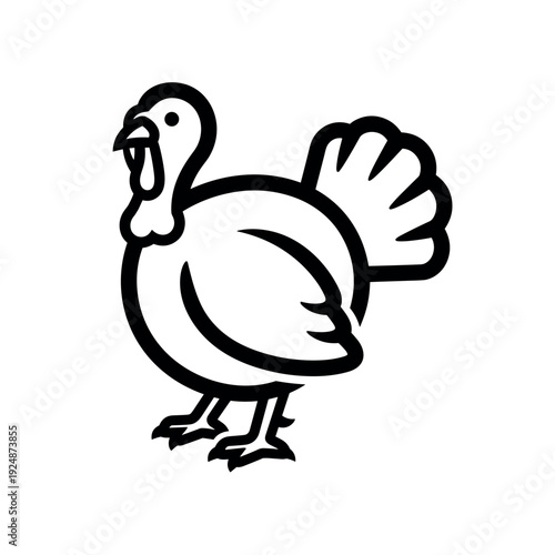Cartoon turkey and chicken vector illustration