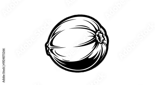 Black and White Coconut Icon, Tropical Fruit, Healthy Food, Vector Illustration