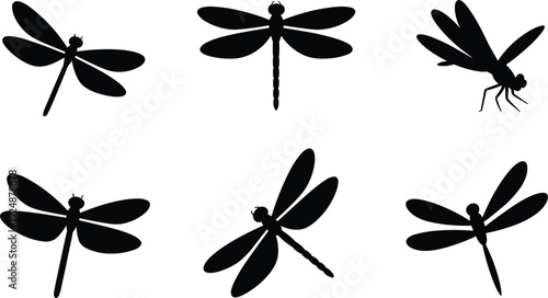 Six Black Dragonfly Silhouettes in Various Poses Keywords: dragonfly, silhouette, black, white background, insect, flying, wings