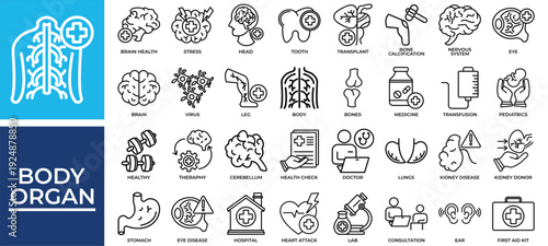 Body Organ icon set collection. Containing organ, bones, mind, stomach, frustration, anatomy, lab .Line vector icons collection